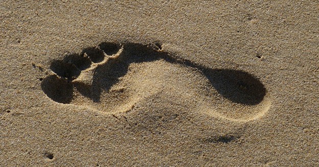 فرم پا در زاهنمای خرید کفش کالج زنانه